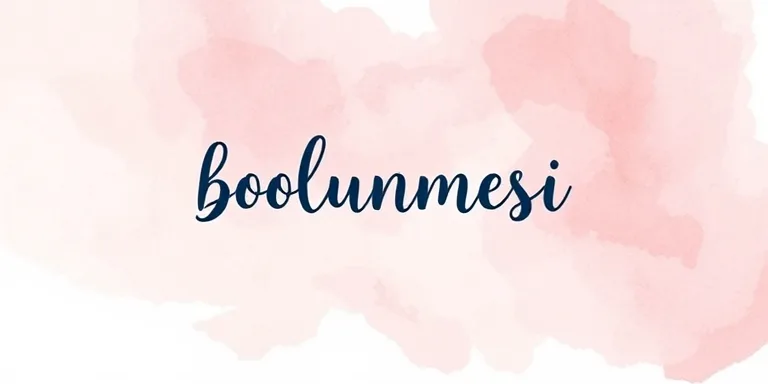 Hisse Bolunmesi Split